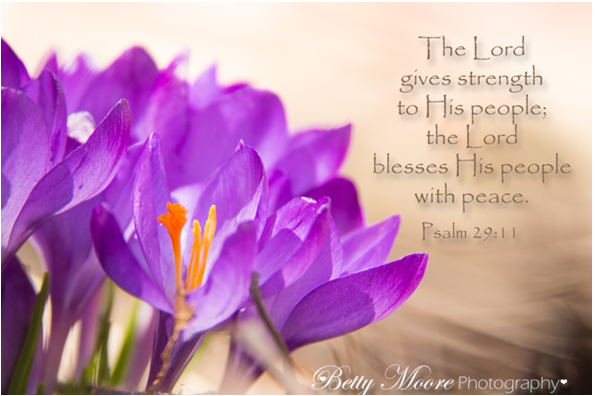 The Lord gives strength to his people; the Lord blesses His people with peace. Psalm 29:1 1