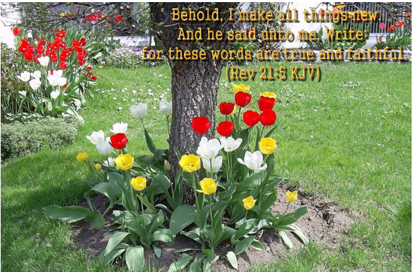 flowers around a tree with written text over the image stating, Behold, I make all things new. And he said unto me, write: for these words are true and faithful. (Rev 21:5 KJV)