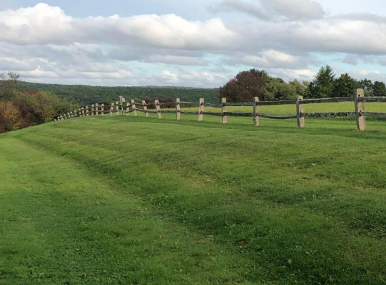 green grass wooden fence field